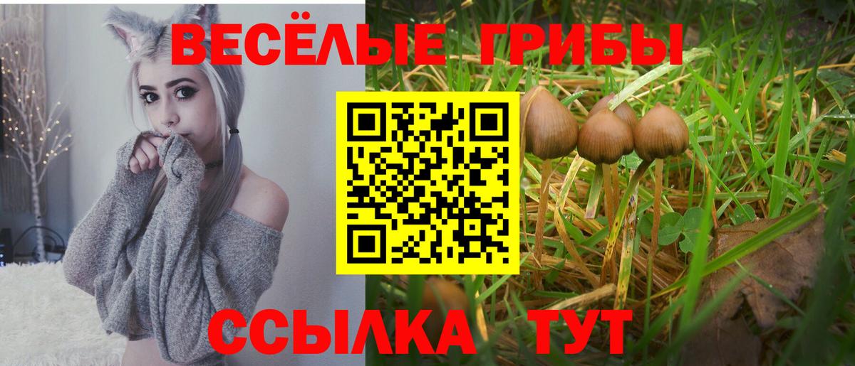 Меф мяу мяу Северобайкальск